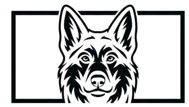 K9 Dog Training logo